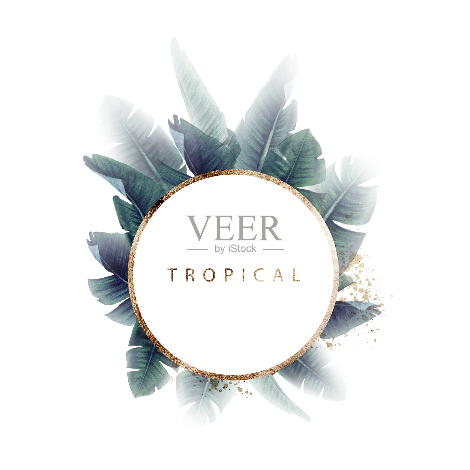 带有热带树叶的贺卡,可作为婚礼、生日等节假日和夏季背景的请柬。水彩插图插画图片素材