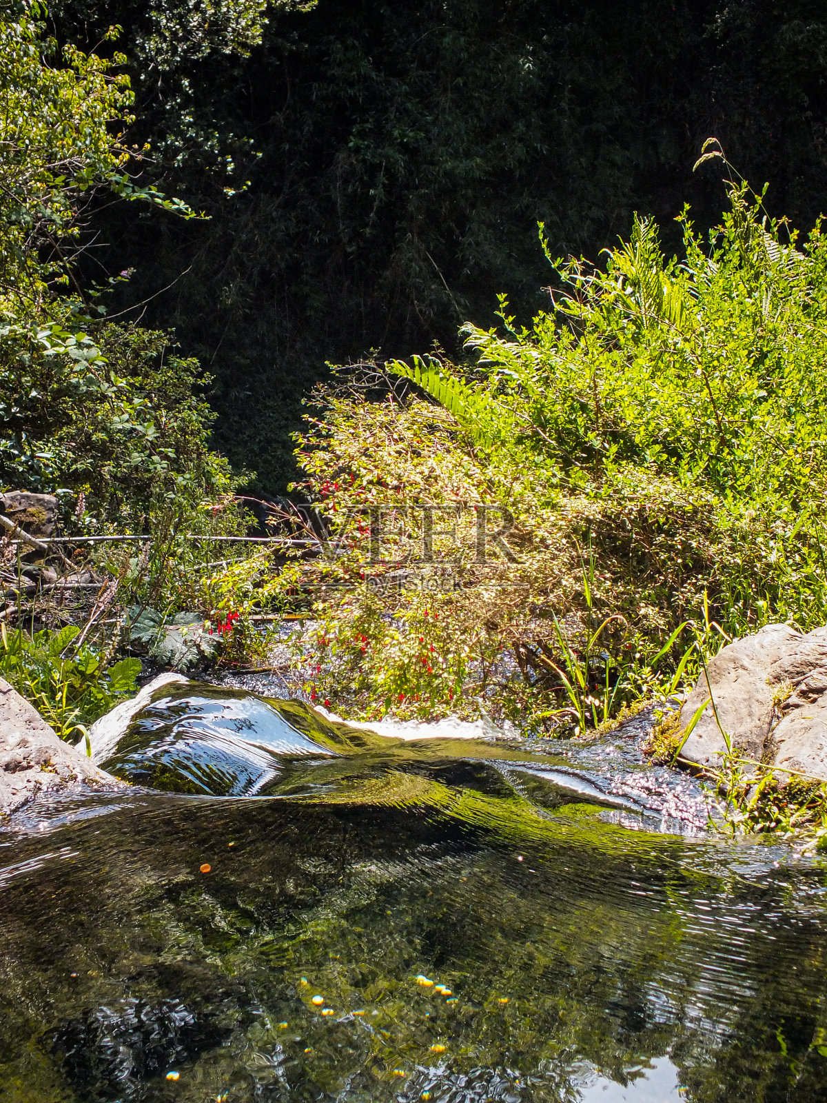 小瀑布照片摄影图片