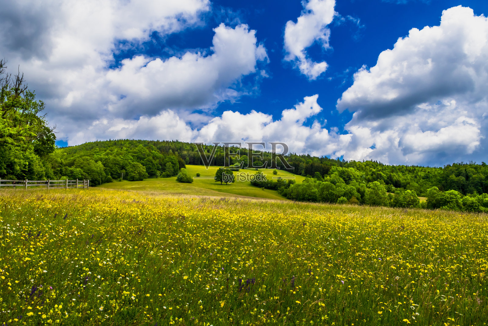 在奥地利多云的天气有森林和花草地的乡村景观照片摄影图片