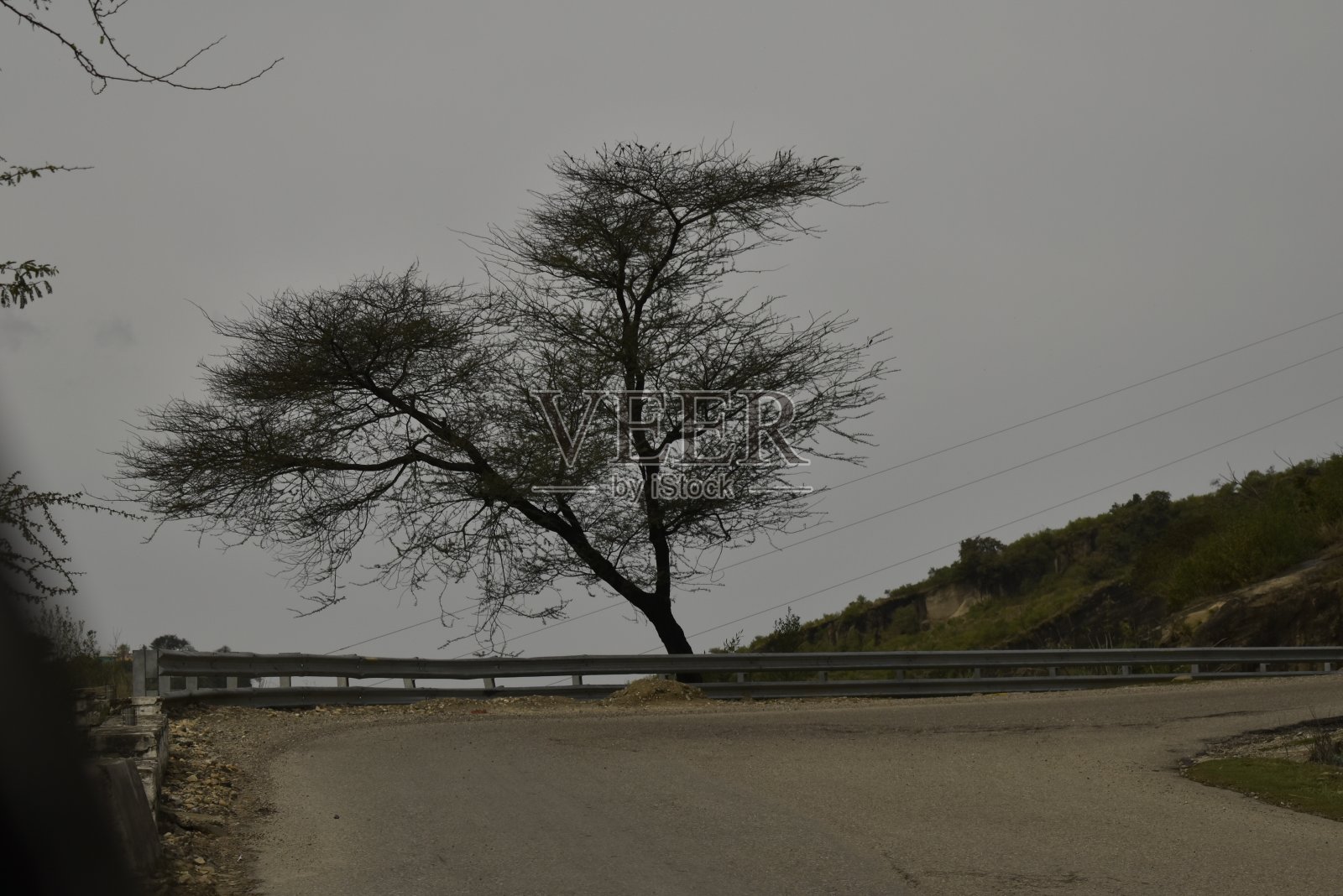 克什米尔稻田的美丽景色。照片摄影图片