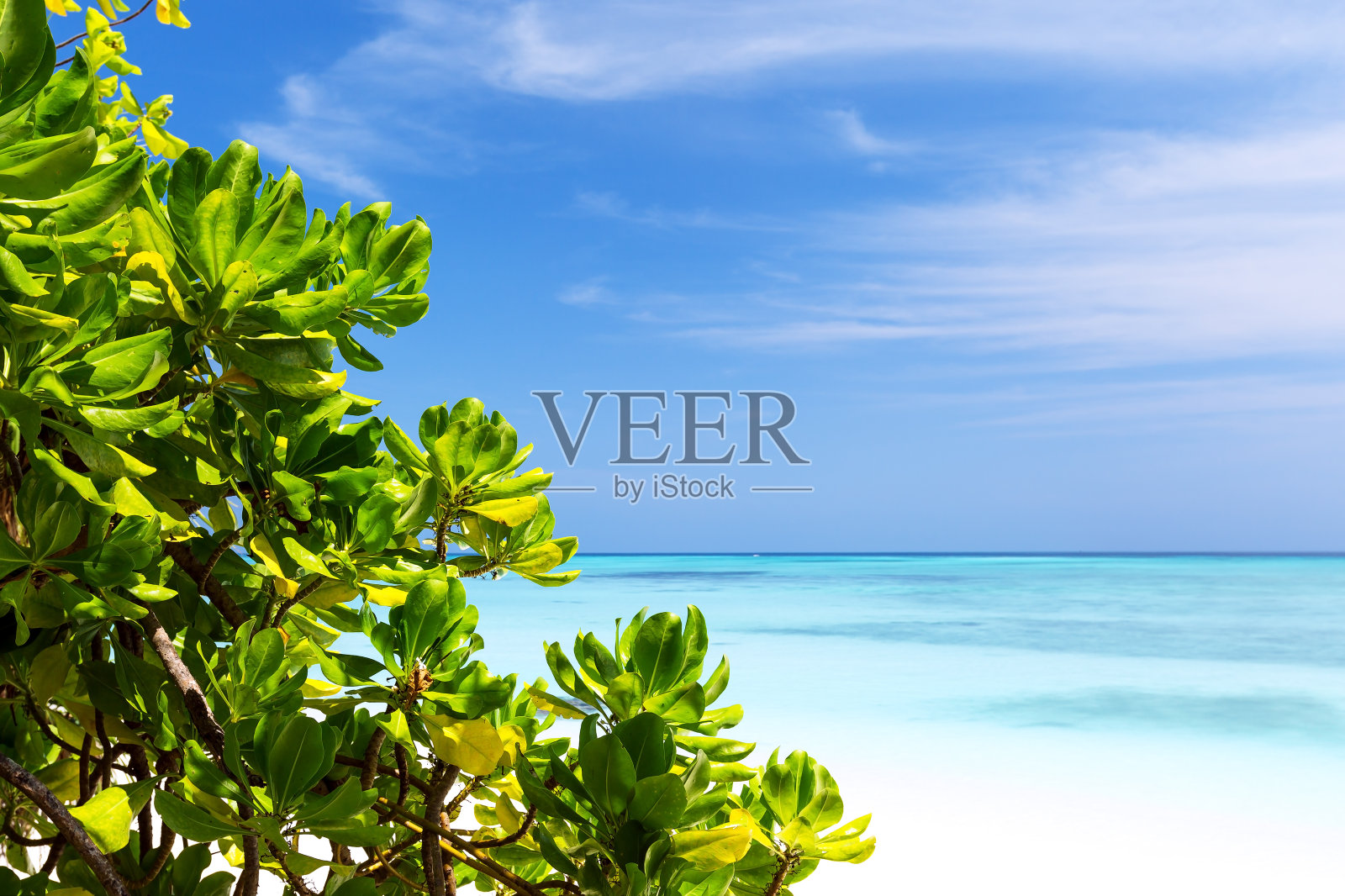 马尔代夫岛的白色沙滩照片摄影图片