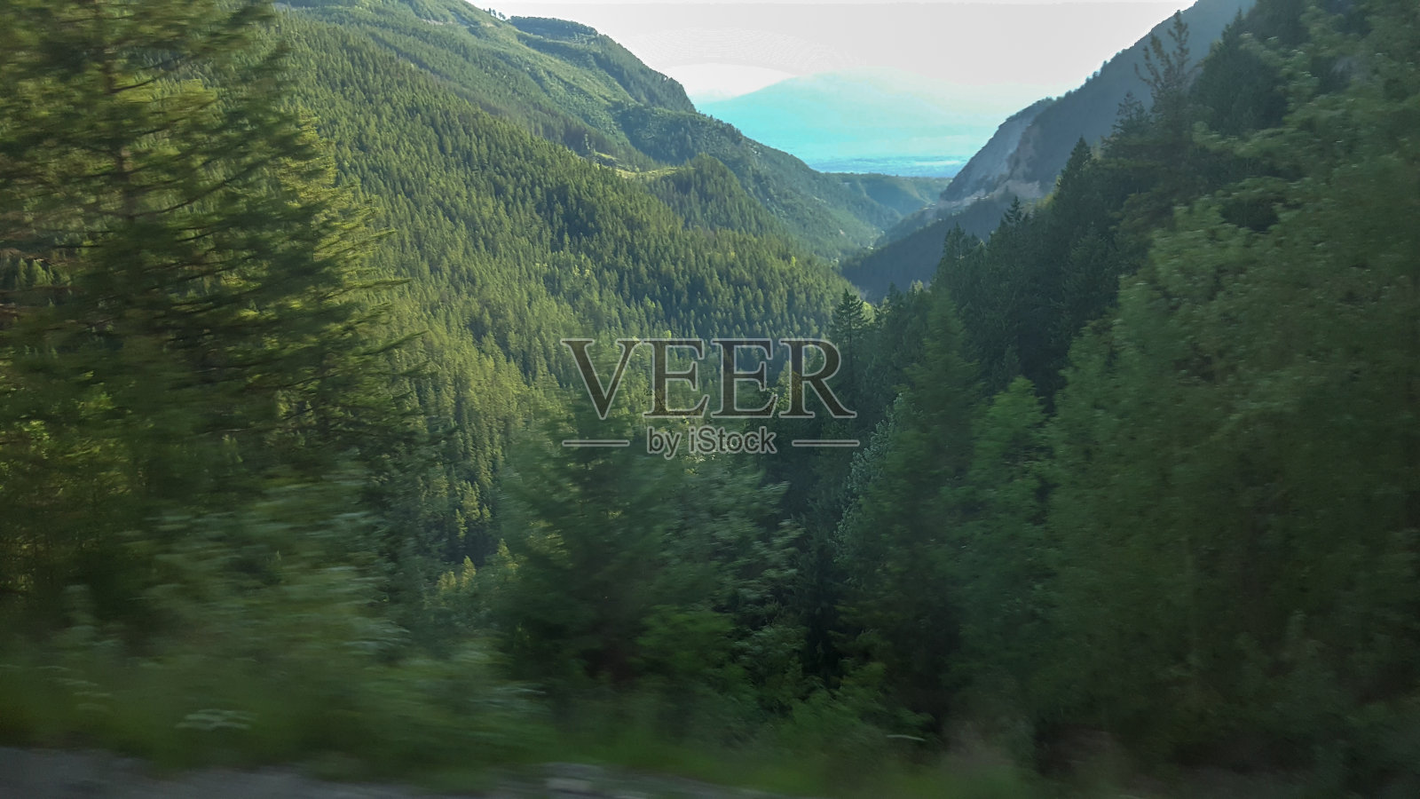 森林在落基山脉,有茂密的树木照片摄影图片