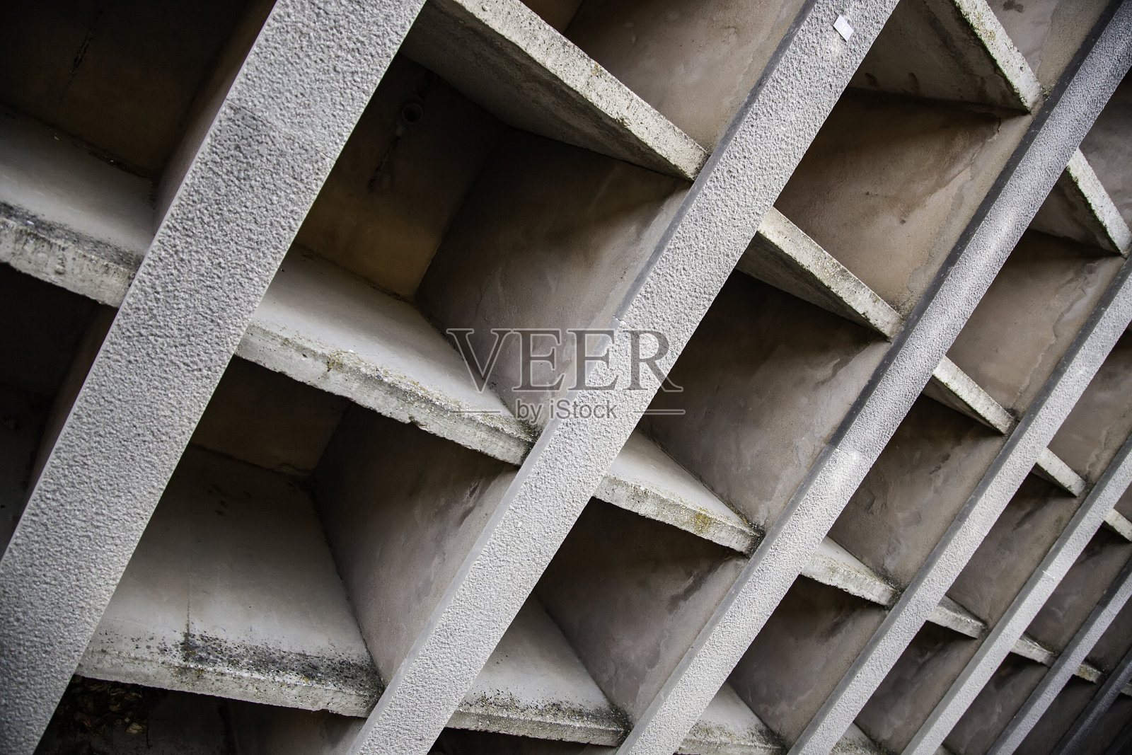 利基市场在公墓照片摄影图片