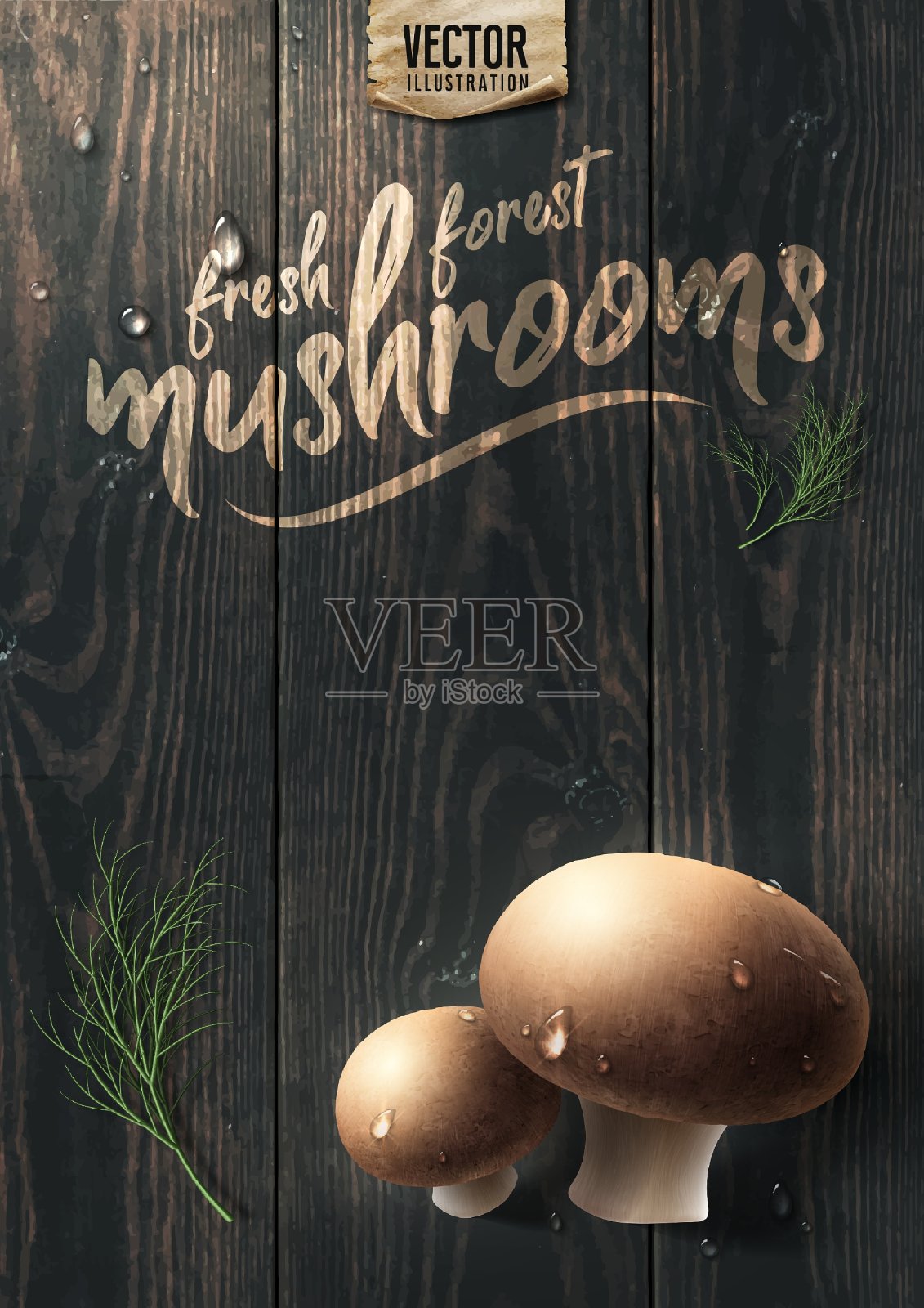 木桌上的新鲜森林蘑菇。插画图片素材