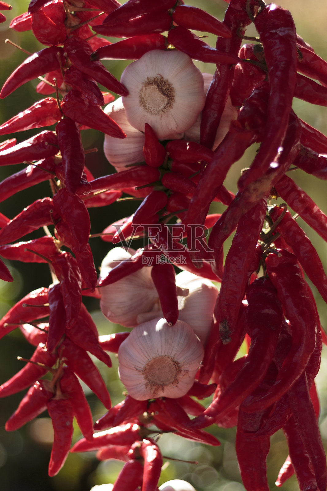 红辣椒和大蒜照片摄影图片