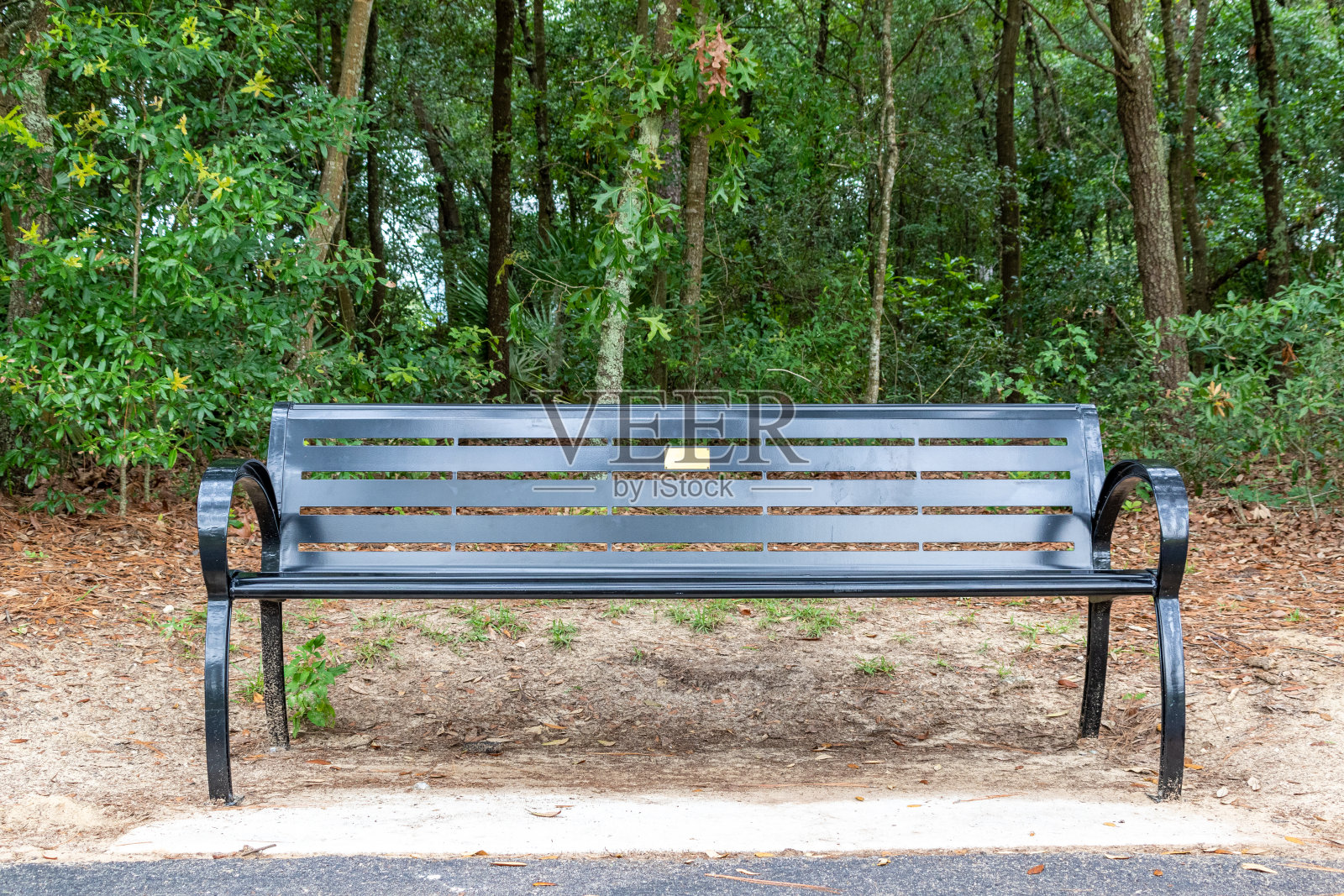 佛罗里达公园的金属长凳照片摄影图片