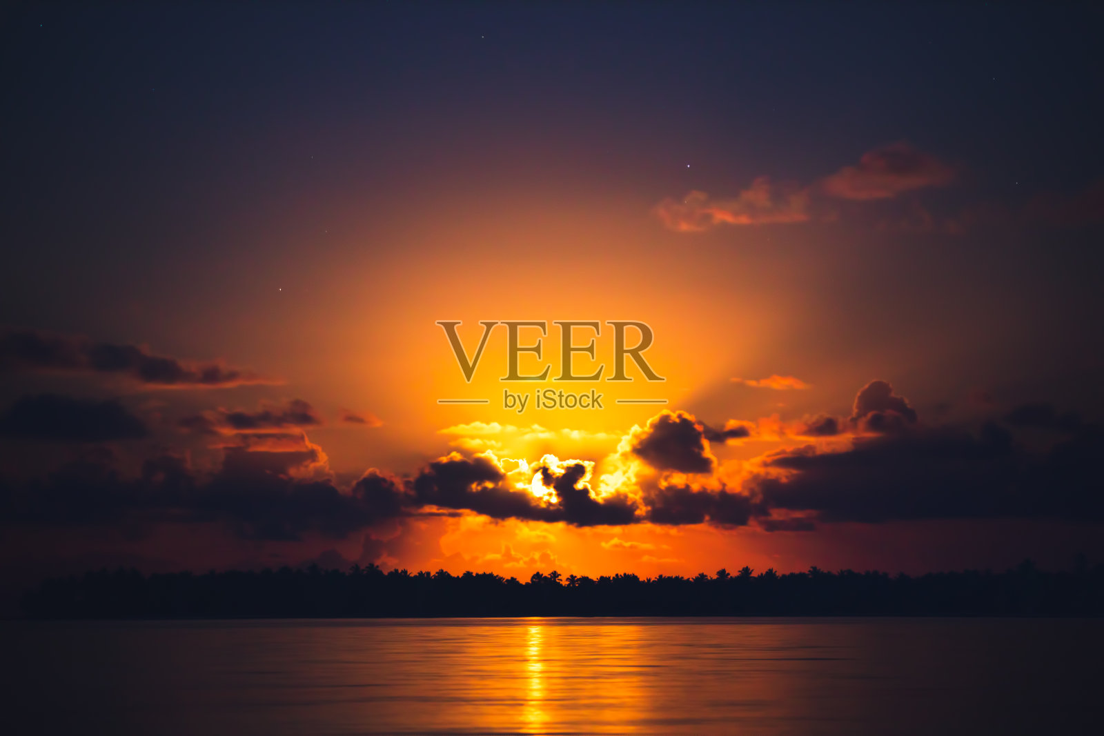 湖上的满月和棕榈树的剪影。热带森林的暮色。照片摄影图片