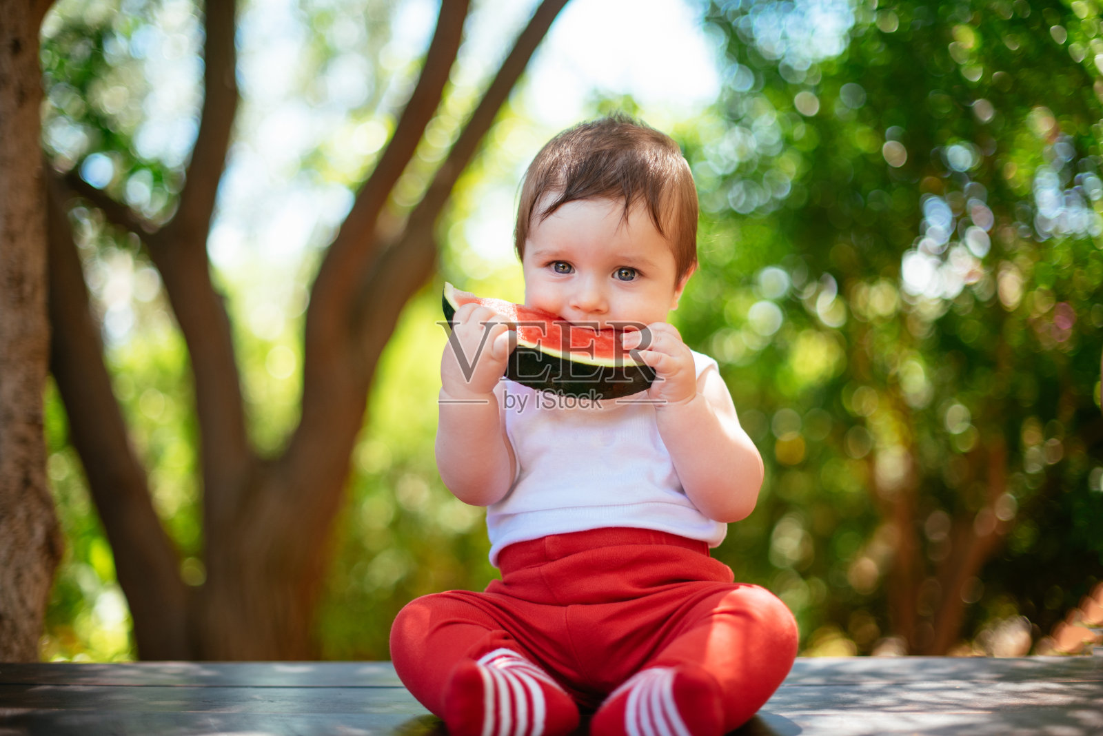 婴儿吃西瓜照片摄影图片