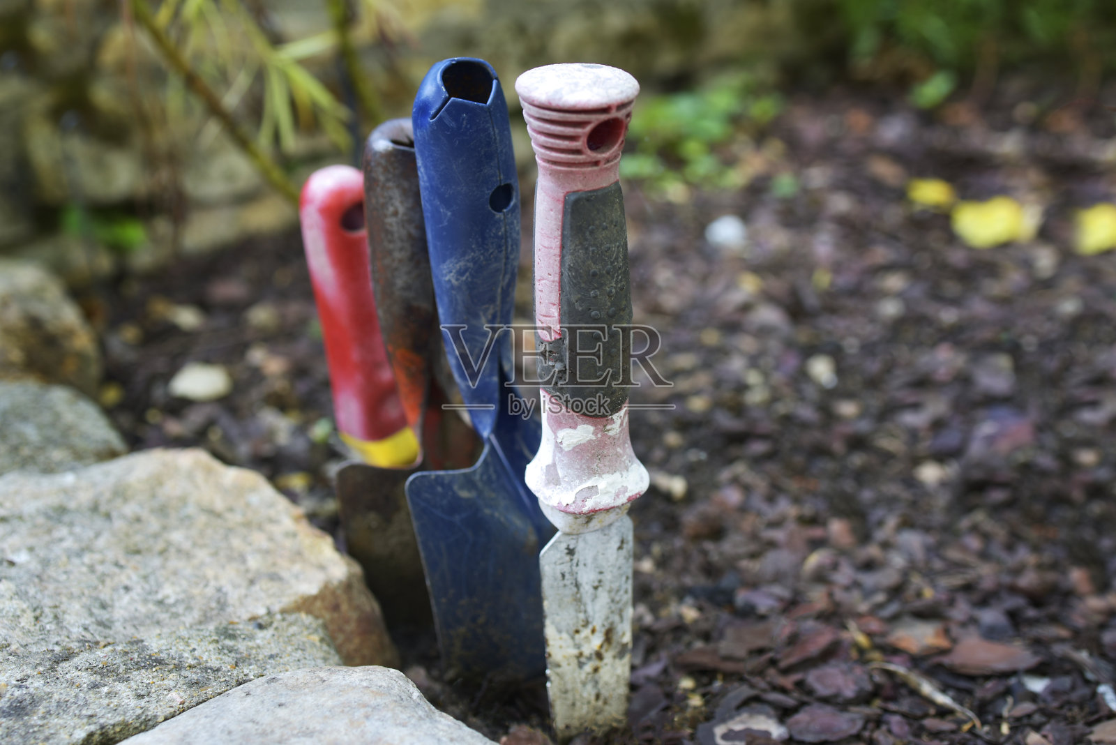 花园铲照片摄影图片