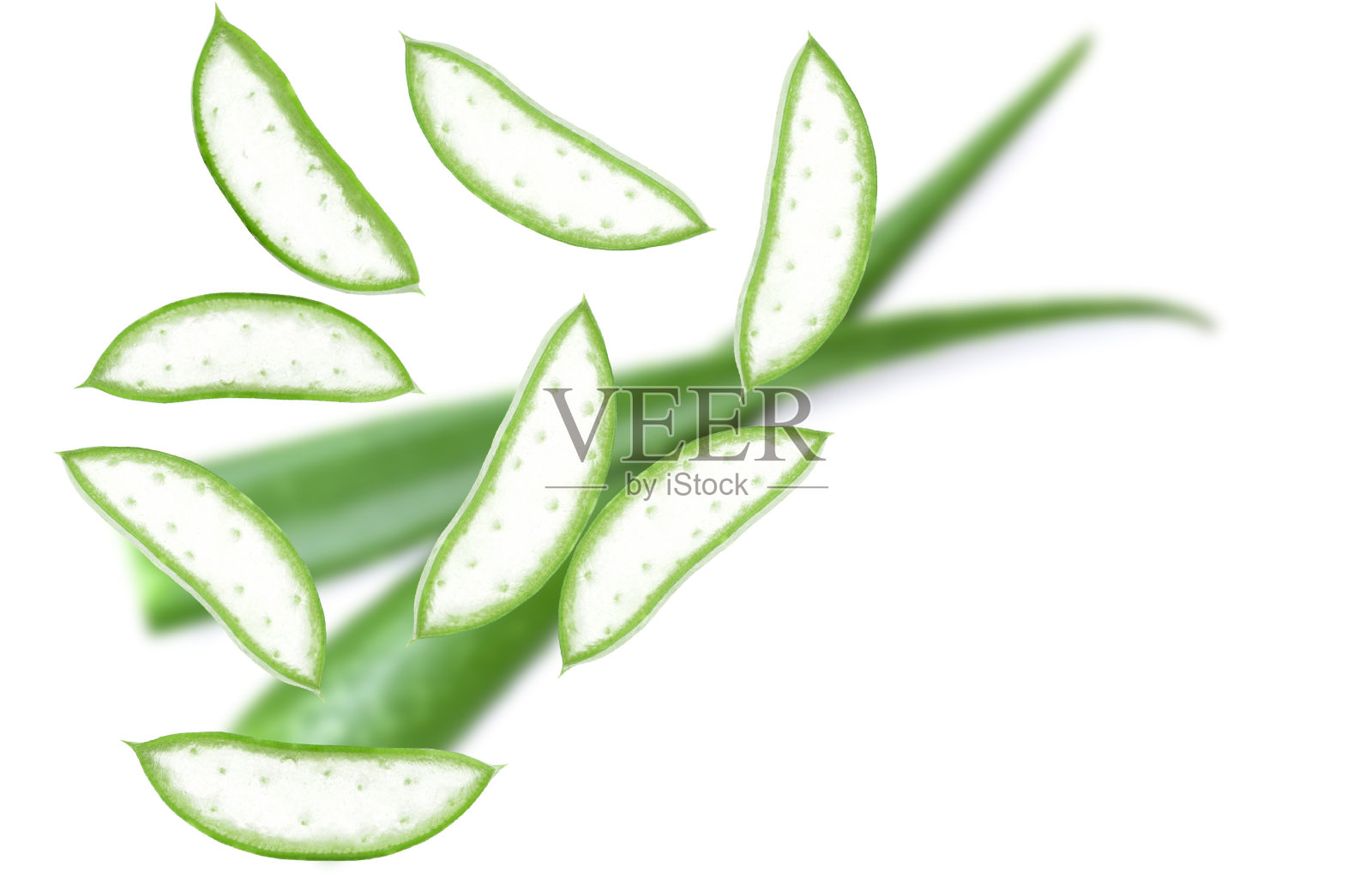 芦荟照片摄影图片