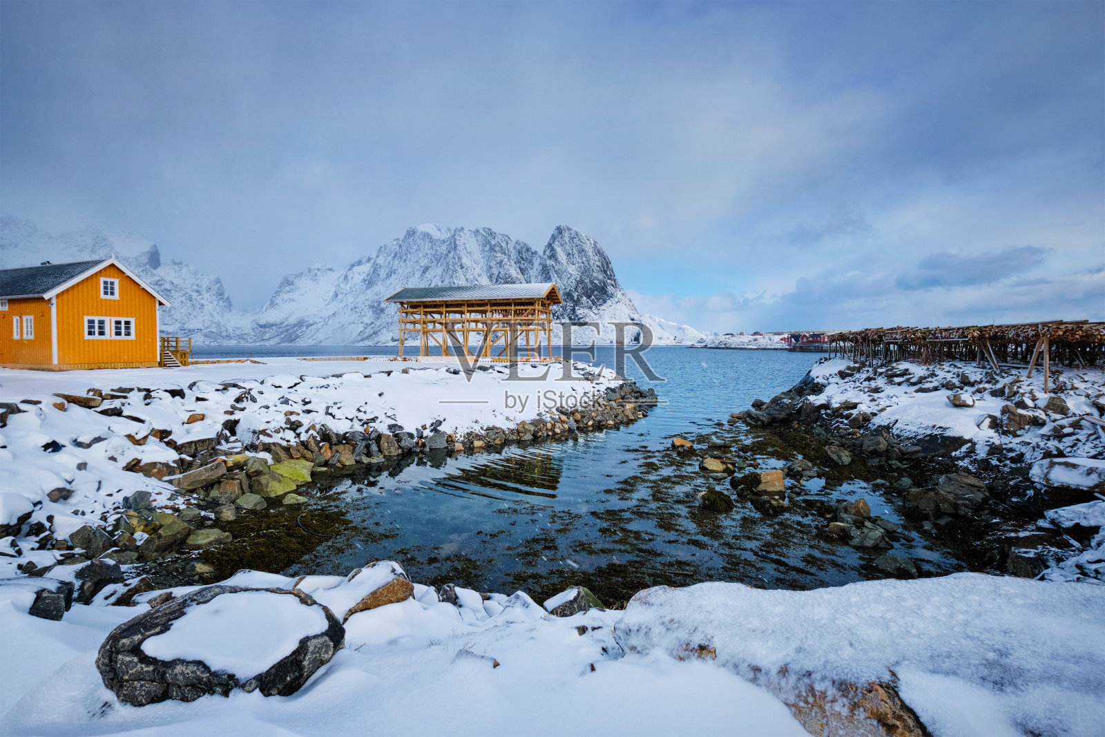 冬笋和干燥鳕鱼片用于鳕鱼的烘制。罗弗敦群岛,挪威照片摄影图片