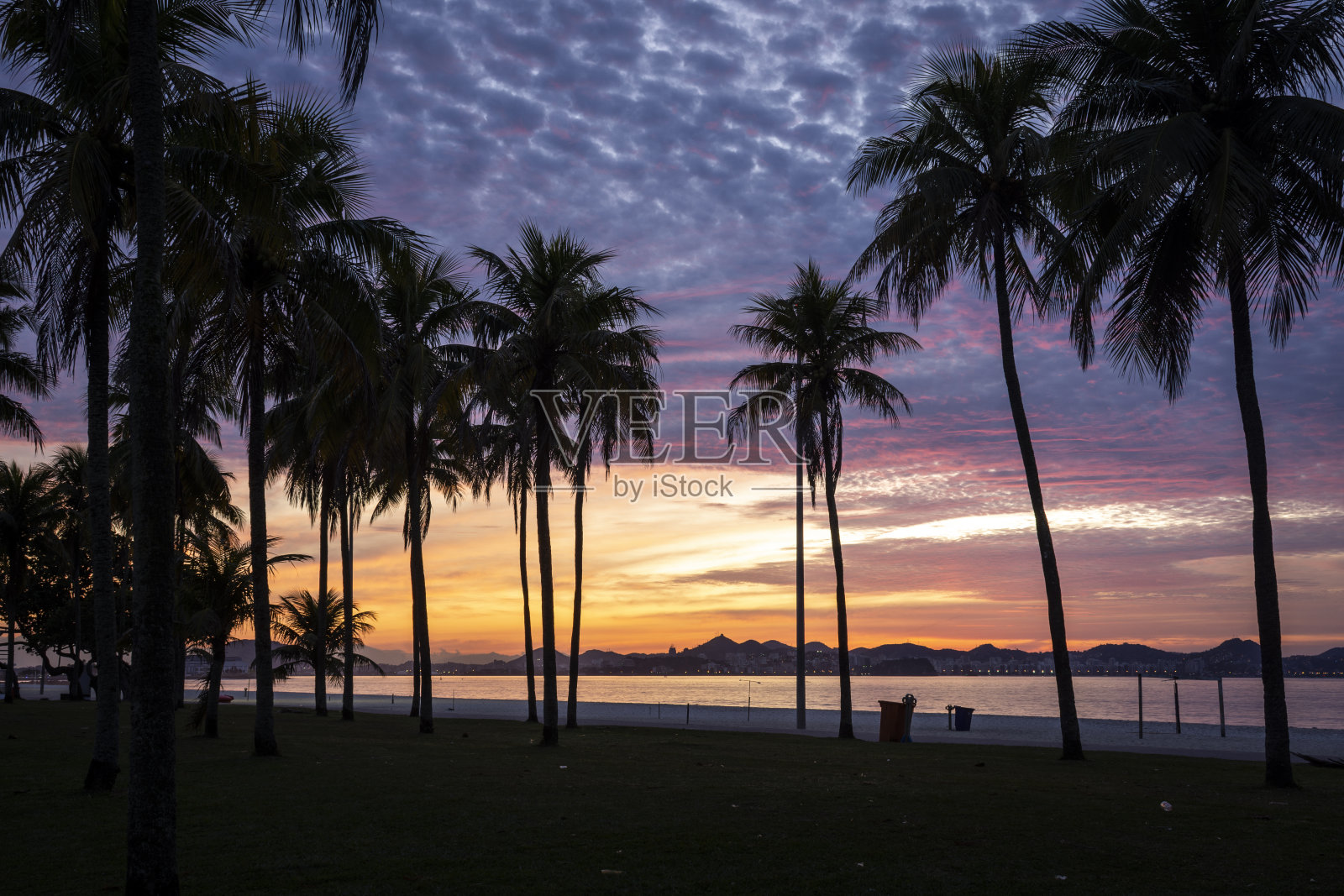 美丽的景色,太阳升起,五颜六色的云彩和棕榈树照片摄影图片