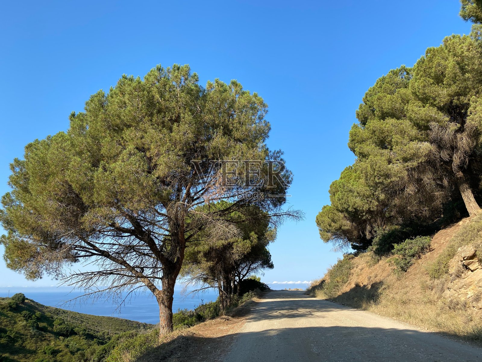 伊佐拉elba照片摄影图片