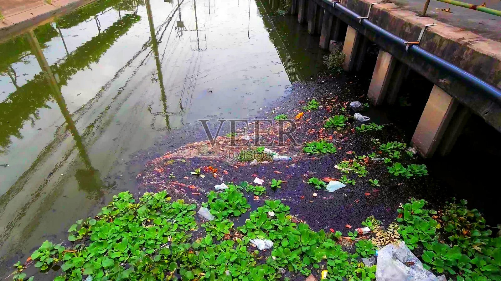 一个江城的水被污染了照片摄影图片