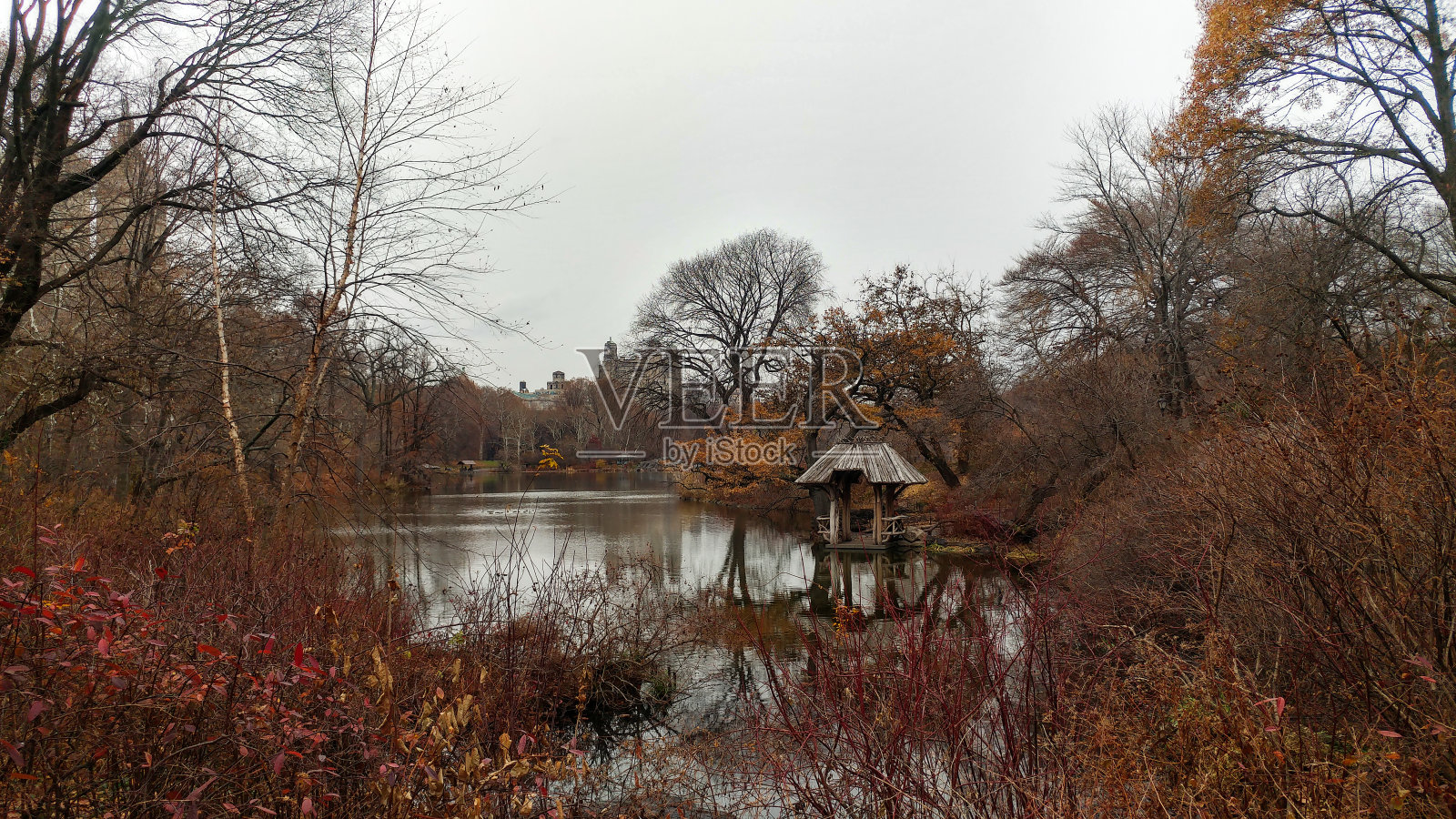 中央公园的湖,照片摄影图片