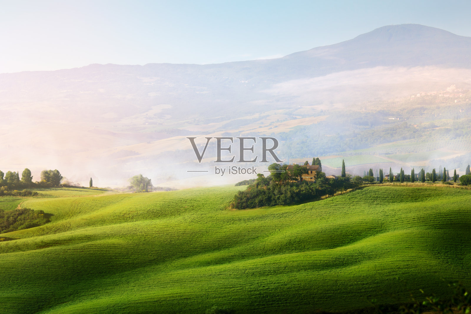 意大利托斯卡纳夏日麦田全景;绿色的农田山照片摄影图片