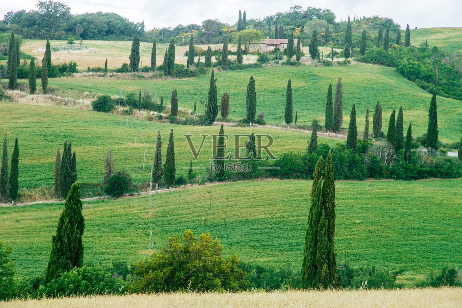 日出风景在乡村公路著名的托斯卡纳风景与弯曲的道路和柏树意大利照片摄影图片