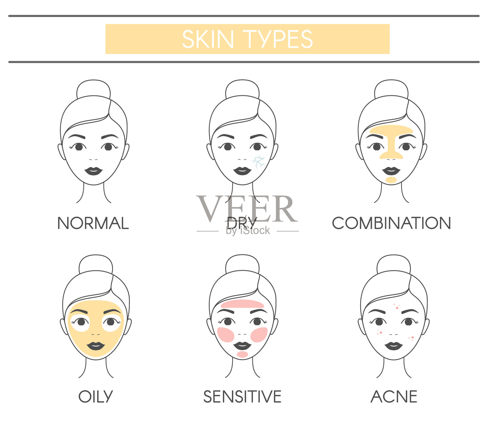 基本肤质类型正常干性混合性油性插画图片素材