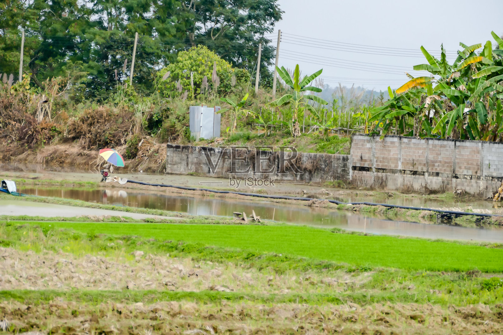 喷泉公园,数码照片图片为背景照片摄影图片