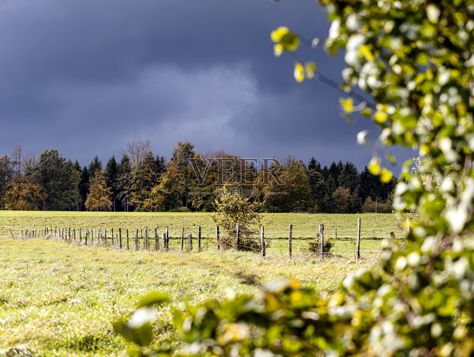 韦特前线照片摄影图片