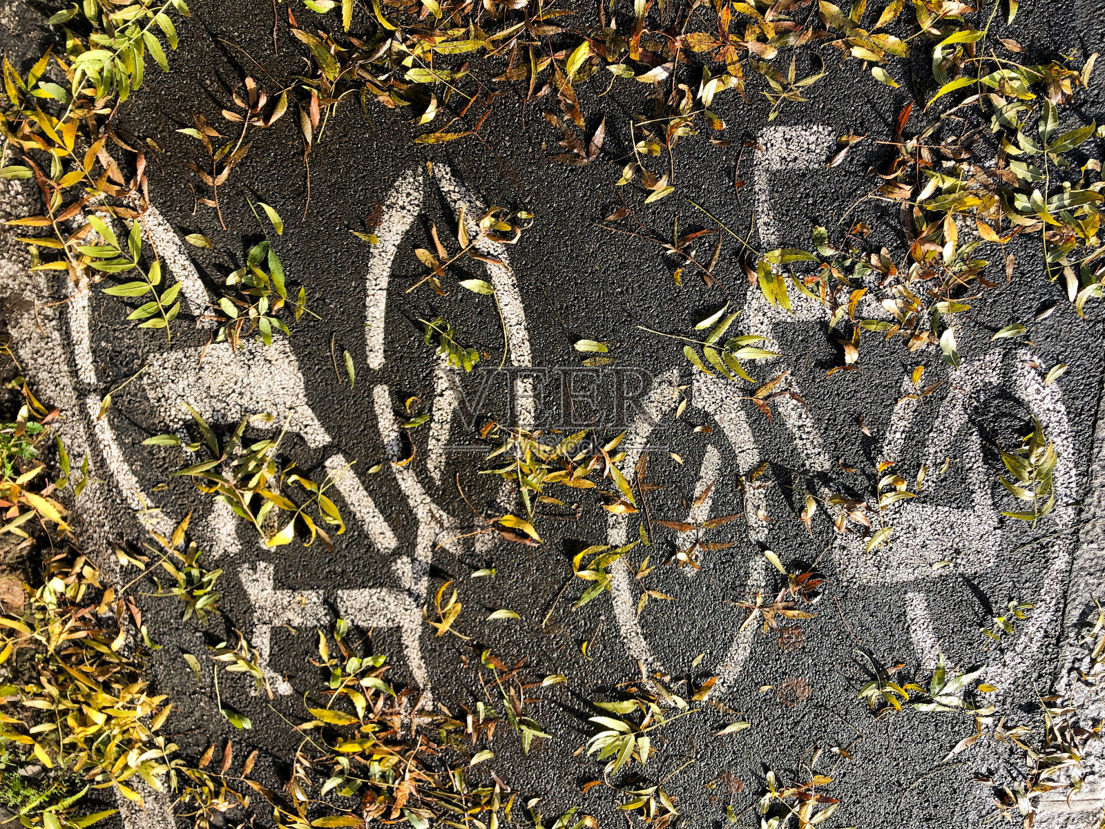 秋天,自行车道的标志被枯叶覆盖着照片摄影图片