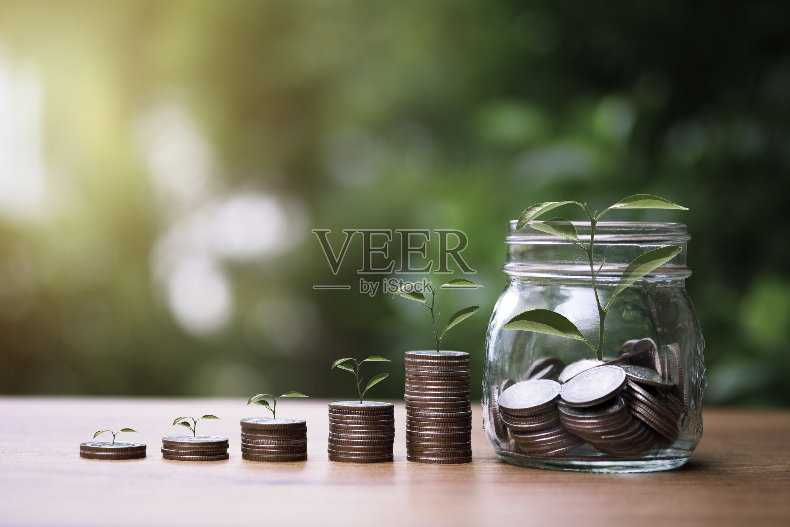 绿化背景下,随着树木生长硬币堆积的增加趋势图。股息和利润来自储蓄和投资的概念。照片摄影图片