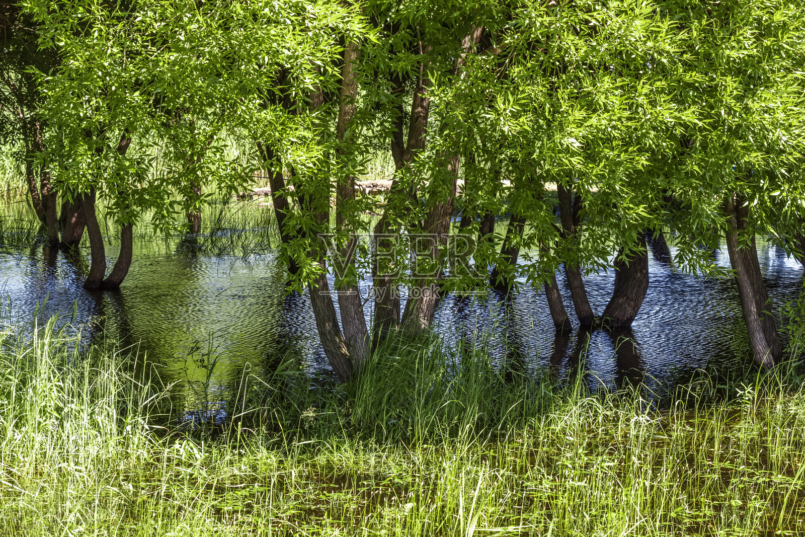 海岸春季洪水泛滥照片摄影图片