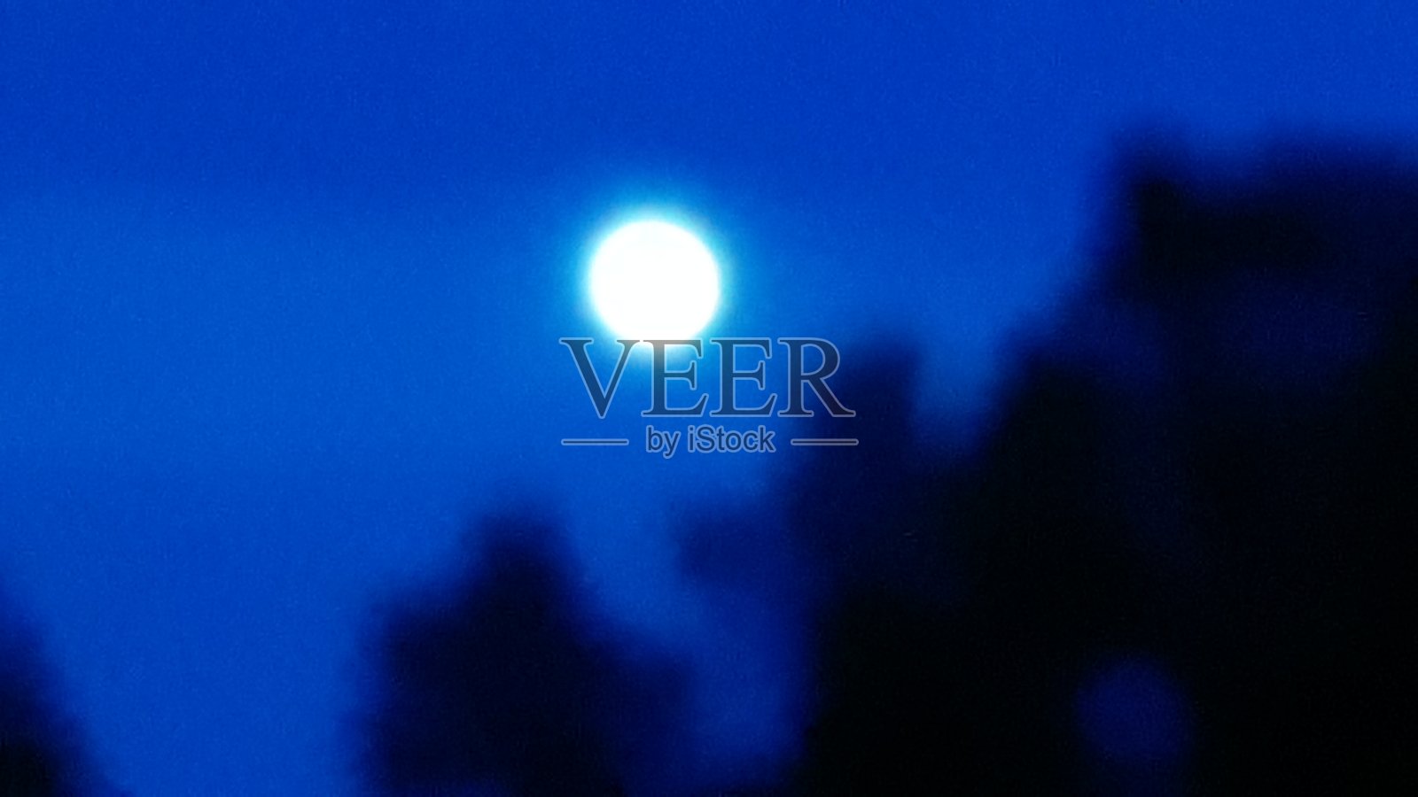 戏剧性的满月映衬着树木的剪影。照片摄影图片