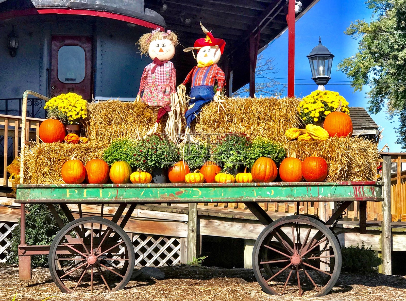 宾夕法尼亚州斯特拉斯堡的节日南瓜车照片摄影图片