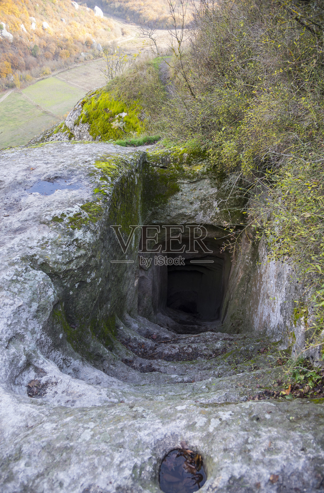 森林中树木的高角度视图照片摄影图片