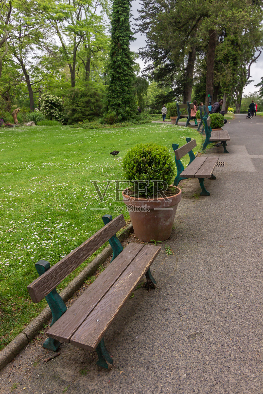 卢瓦尔河谷南特植物园(法国)照片摄影图片