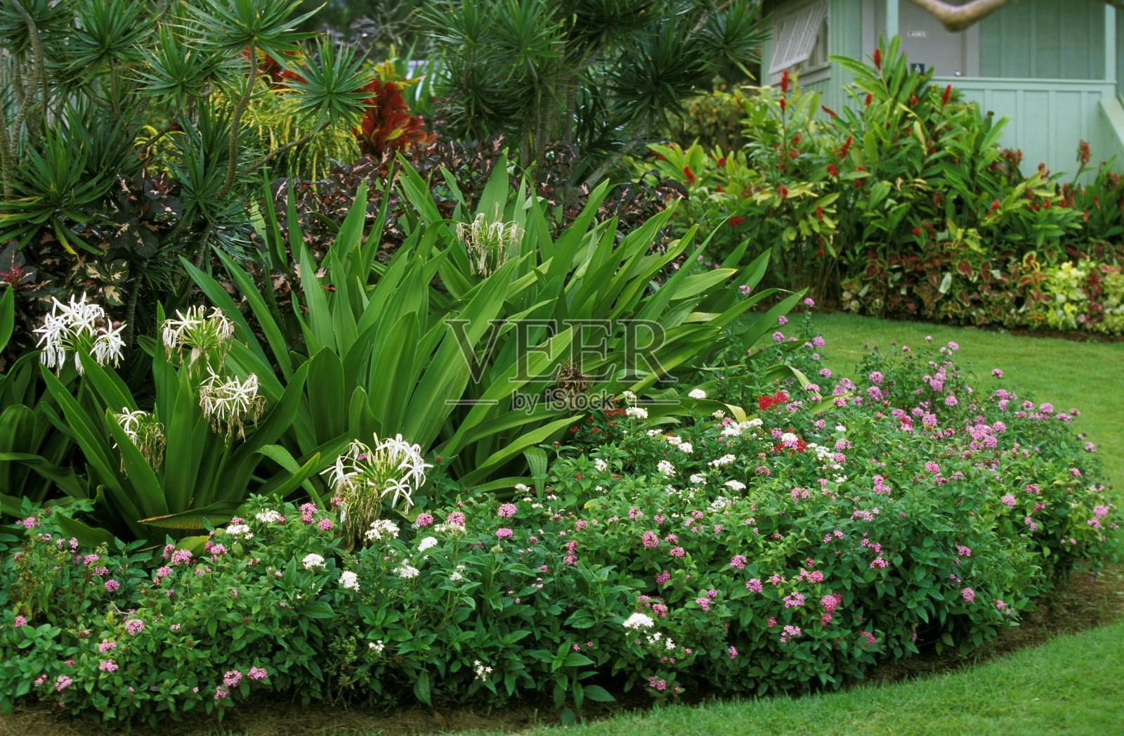 房子和花园照片摄影图片