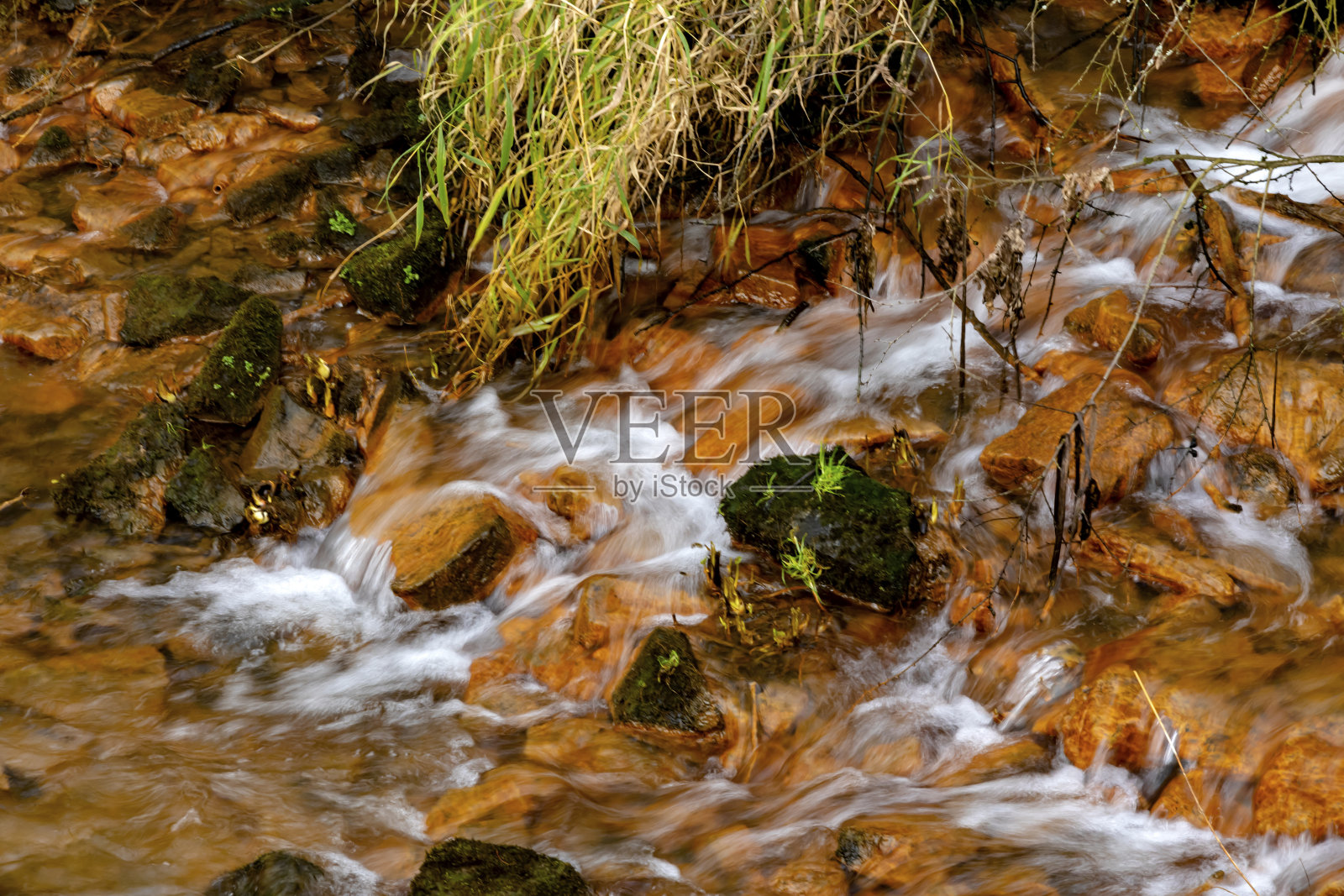 Leb3n的来源照片摄影图片