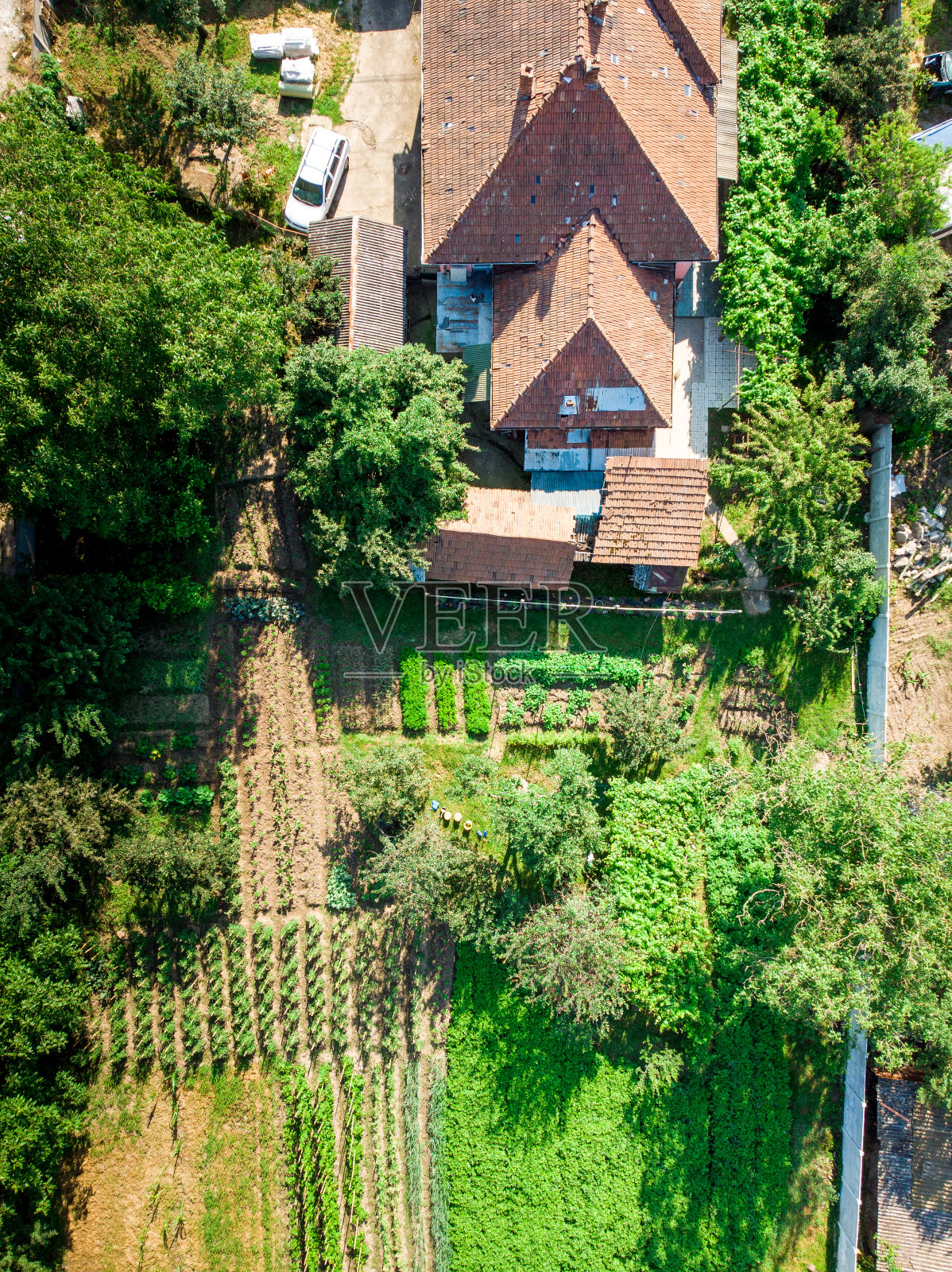 鸟瞰图的独立乡村房屋和蔬菜花园照片摄影图片