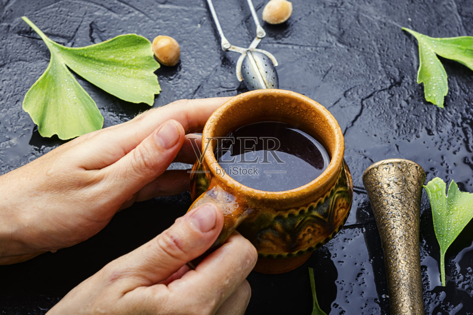 中草药银杏照片摄影图片