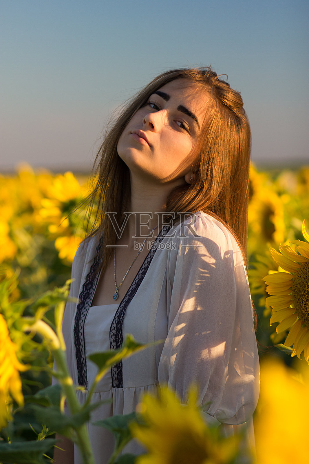 日落时分,小女孩在向日葵地里欣赏大自然照片摄影图片