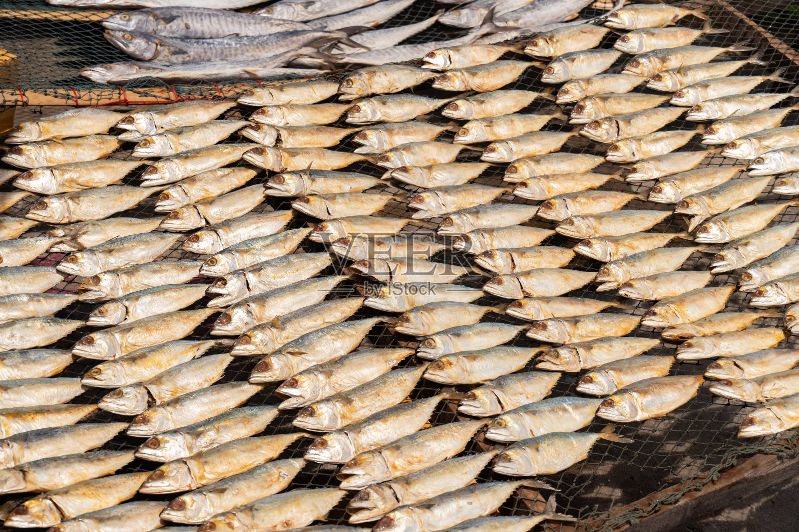 咸鲭鱼的全帧图像照片摄影图片