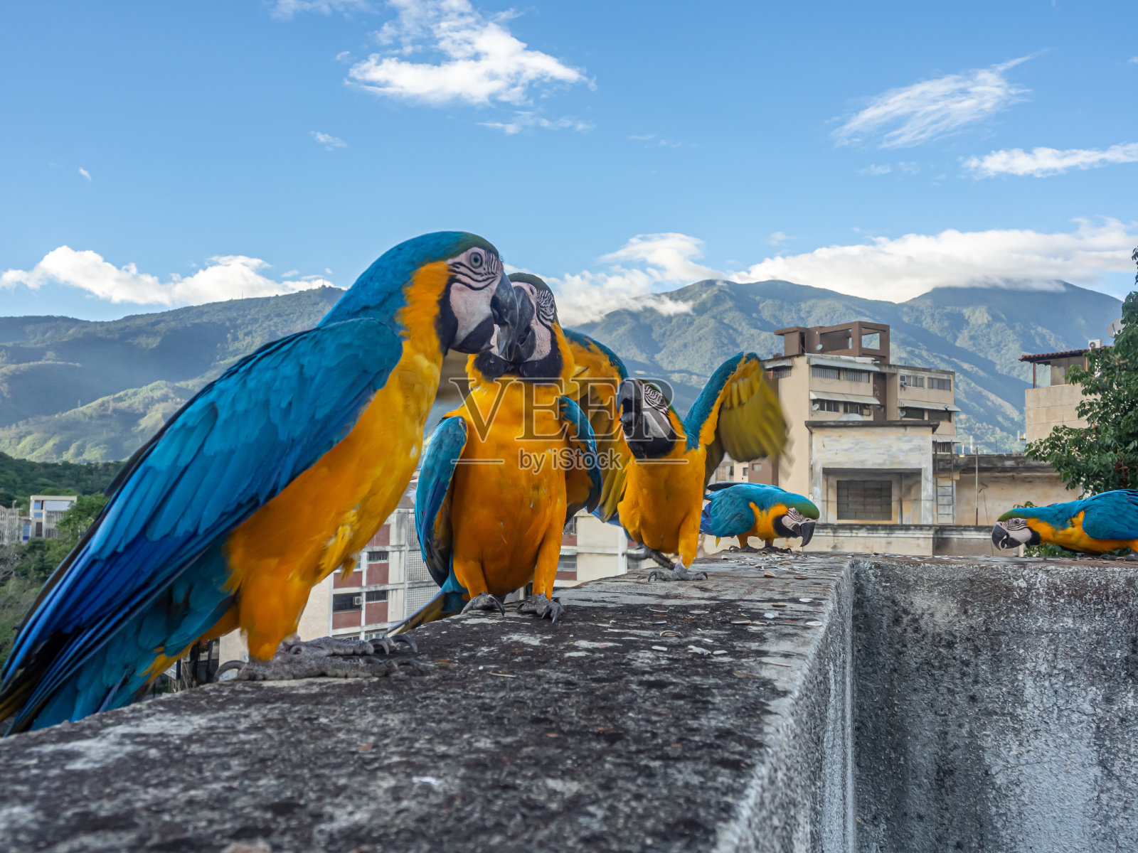 总有一个人行为不端……照片摄影图片