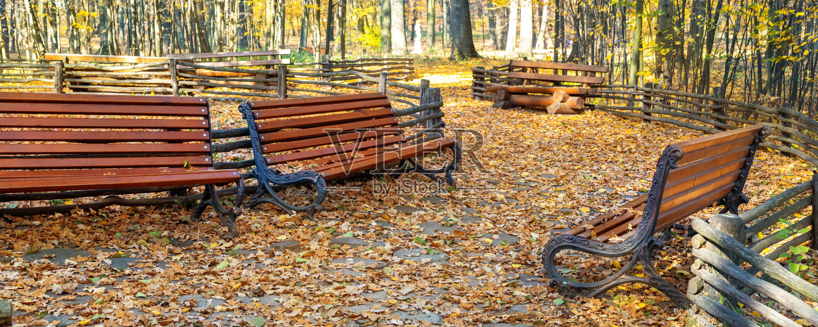 美丽的风景小巷与长椅之间的树木和金色的树叶郁郁葱葱的城市公园。漫步在五彩缤纷的秋季公园里。宽阔的全景横幅视图照片摄影图片
