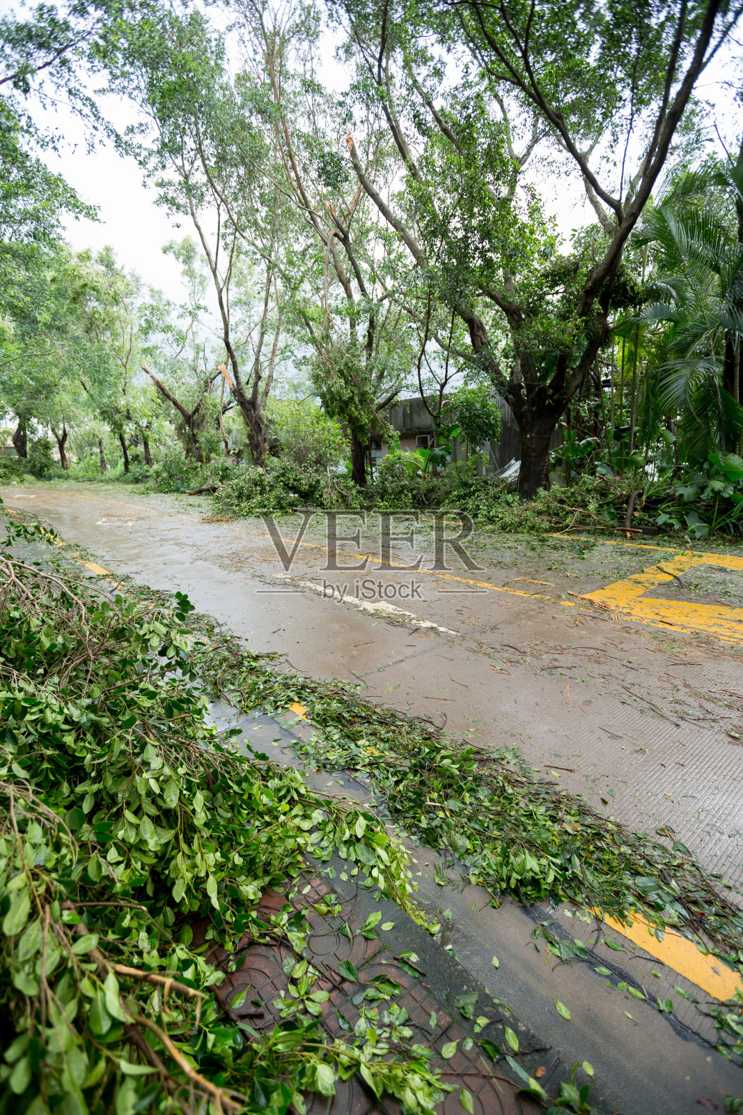 2018年9月16日,超强台风“山竹”在中国肆虐照片摄影图片