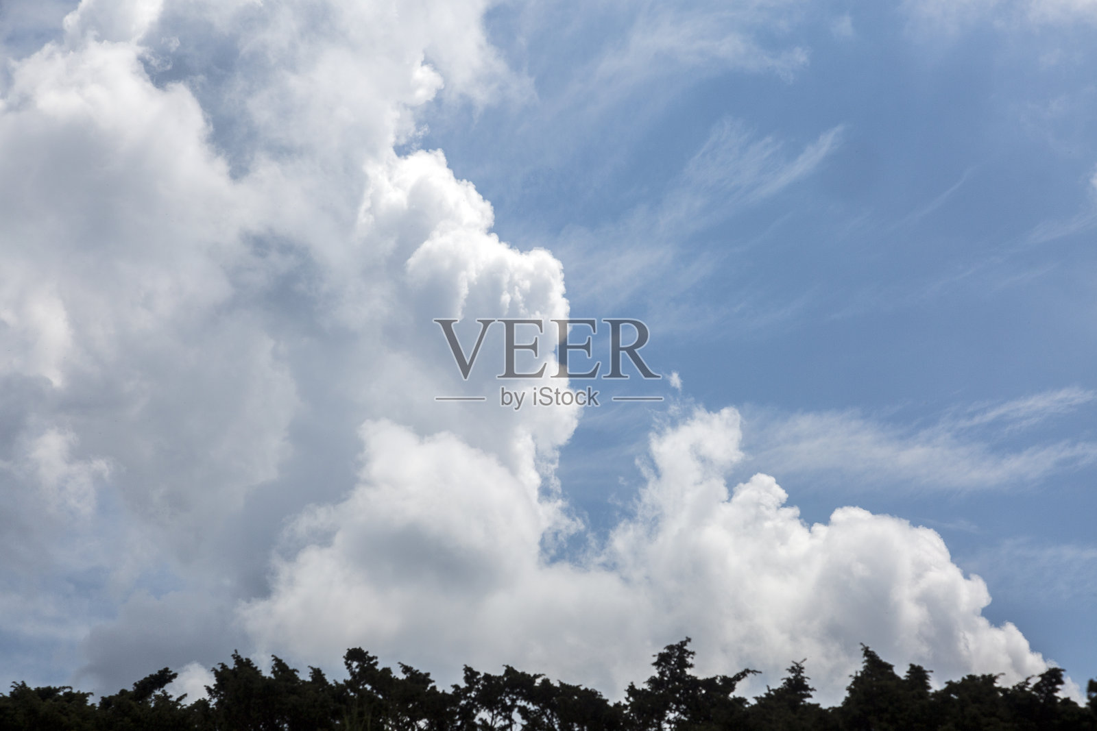 戏剧性的背景和纹理在夏季多云的蓝天与地平线上的灌木丛照片摄影图片