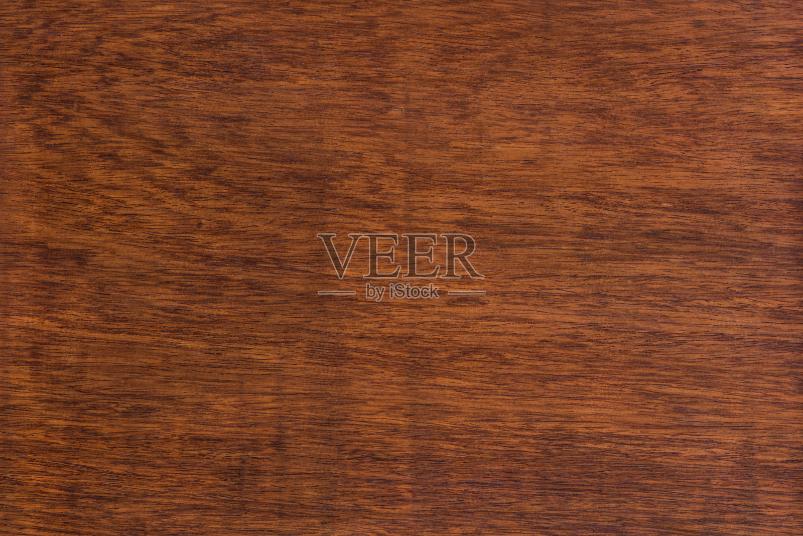 大红豆木的背景和纹理照片摄影图片