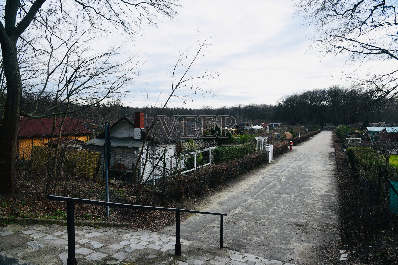 柏林市区的传统步道照片摄影图片