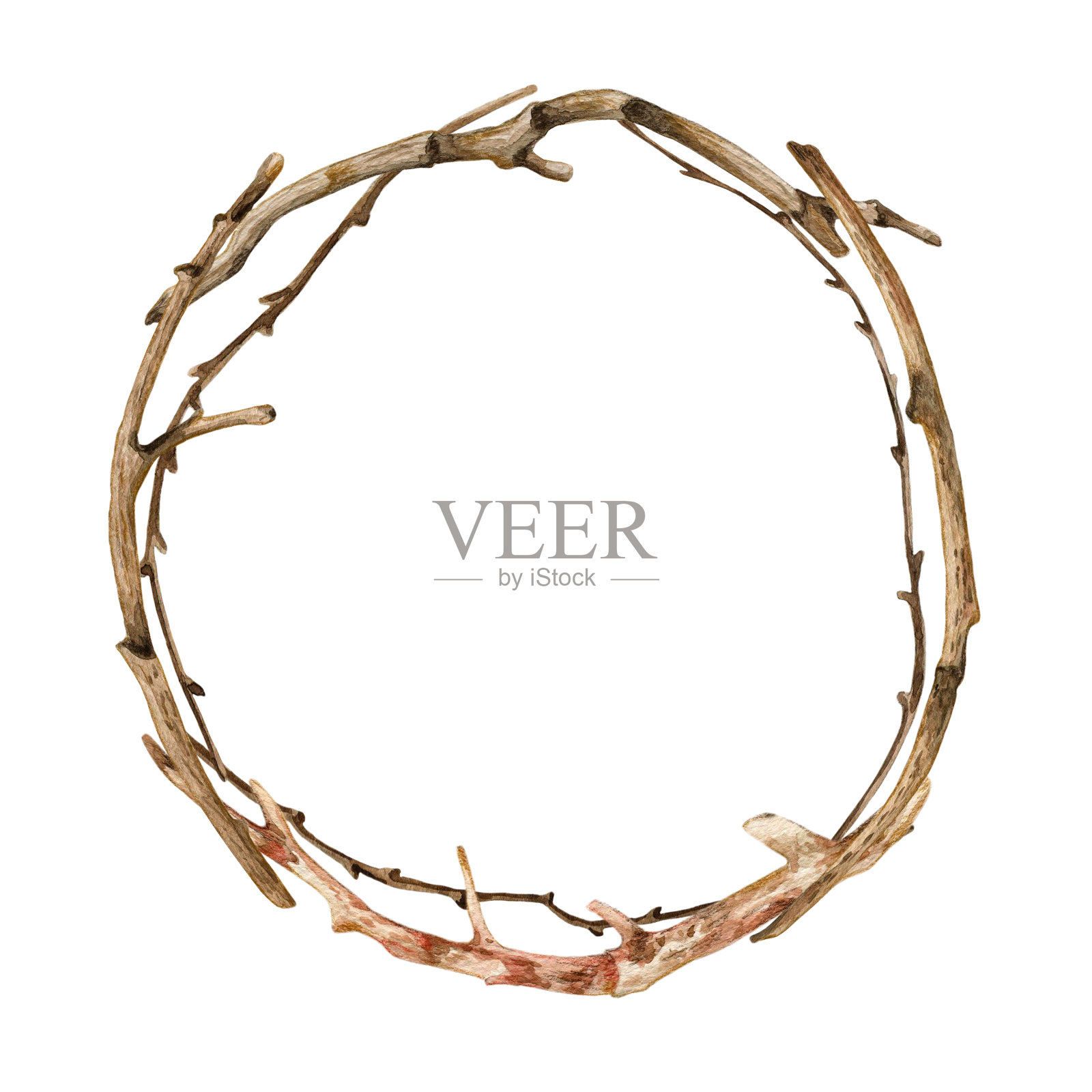 水彩树的分支圆形形状模板插图。彩色的树枝和树枝框架在白色的背景插画图片素材