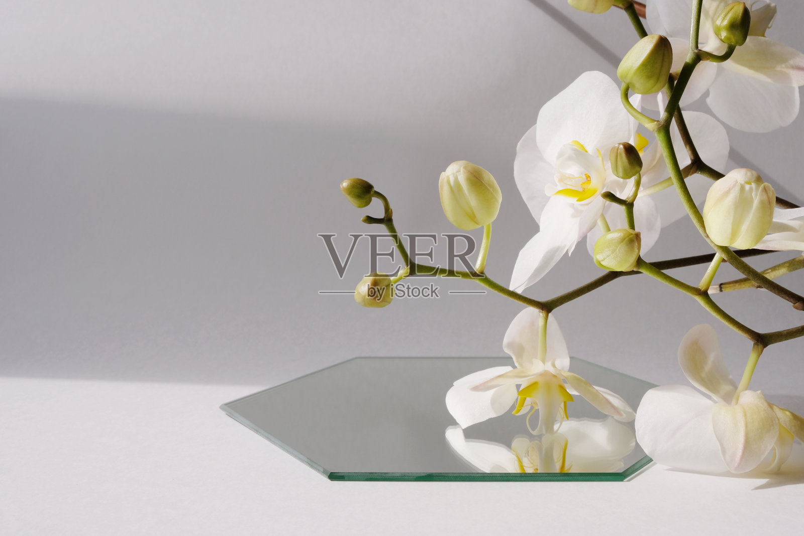 场景与几何形式和时尚的阴影照片摄影图片