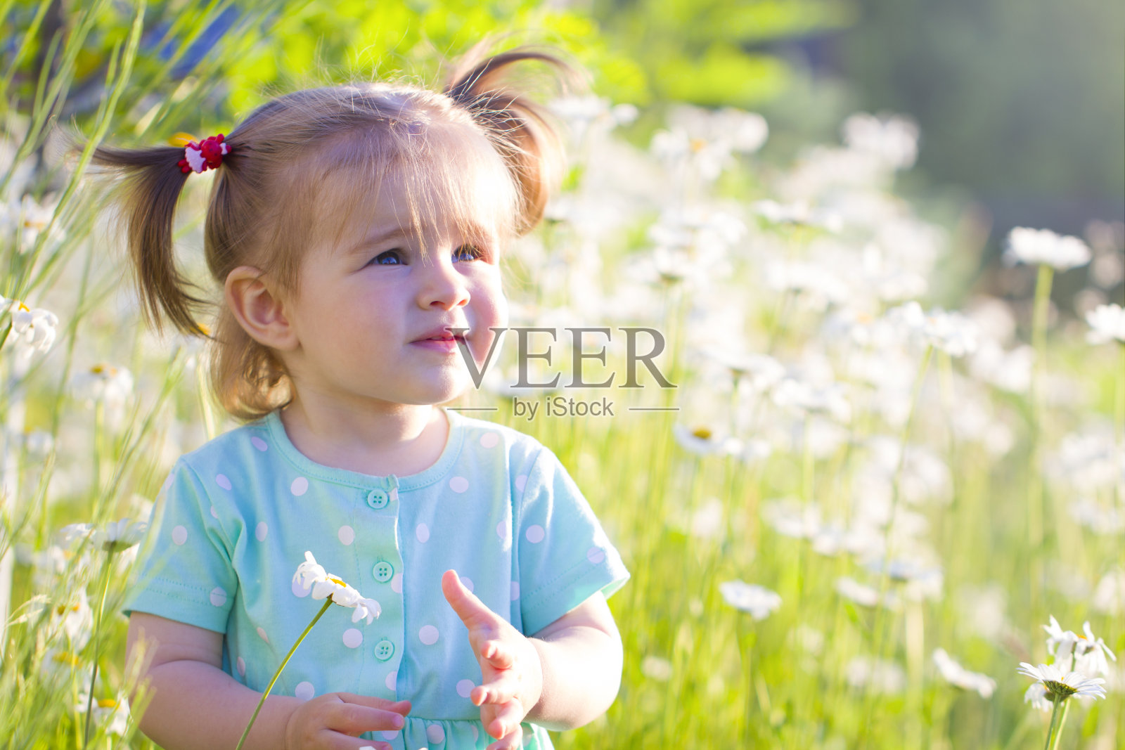 小美丽的童女在雏菊盛开的田野里夏日明媚心情积极照片摄影图片