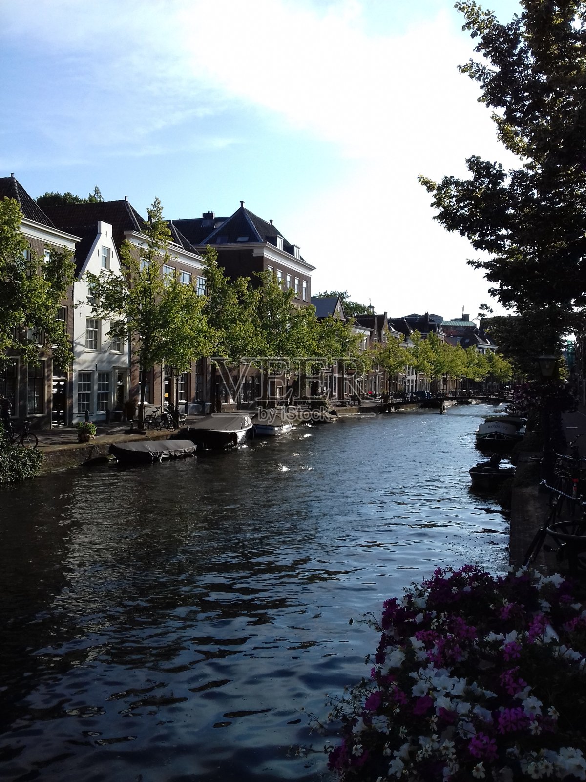 荷兰运河照片摄影图片