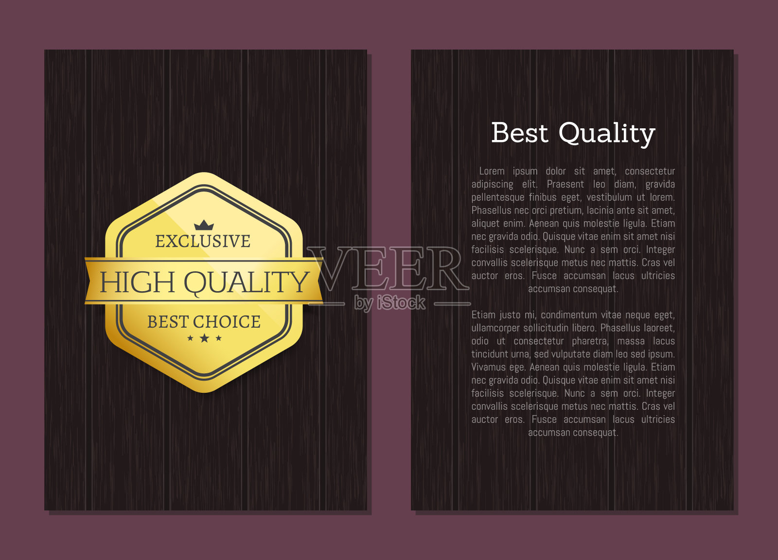 最好的质量,伟大的选择优质黄金标签文本插画图片素材