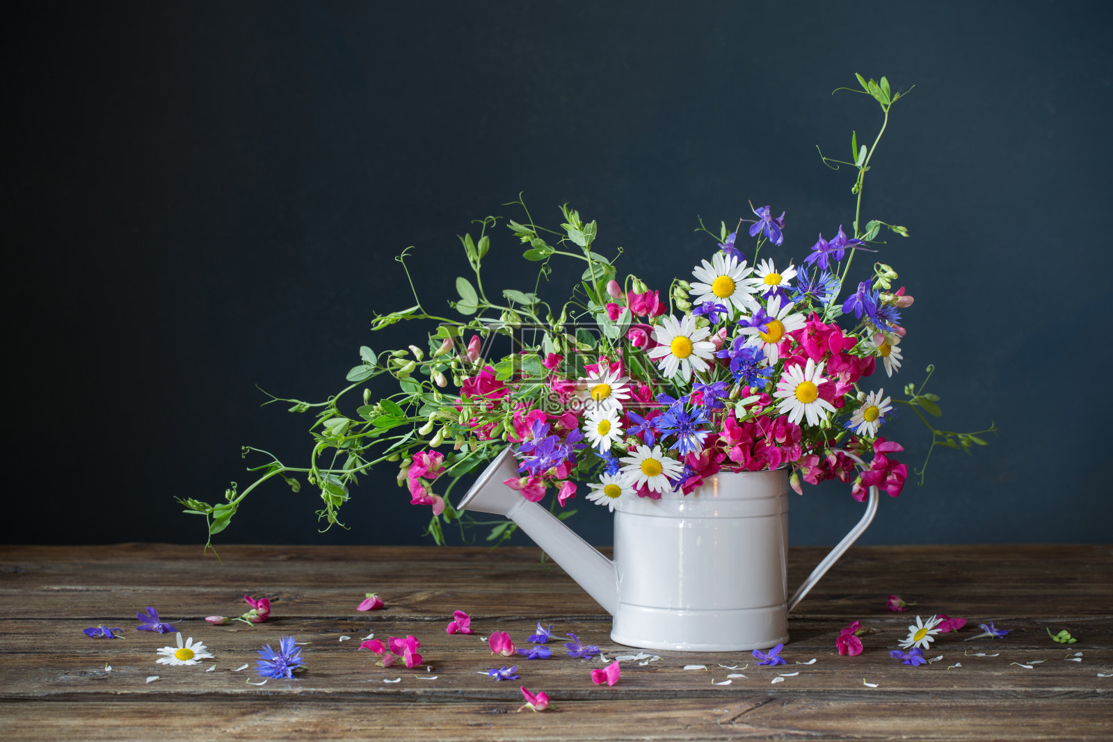 黑色背景上的喷壶里的夏季野花照片摄影图片