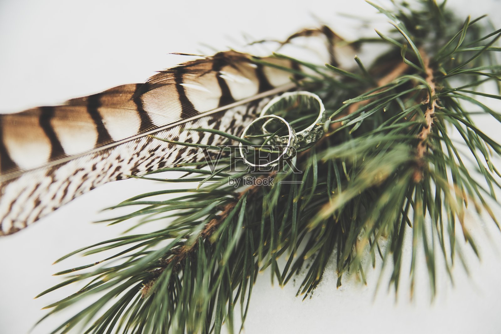 婚礼细节——结婚戒指照片摄影图片